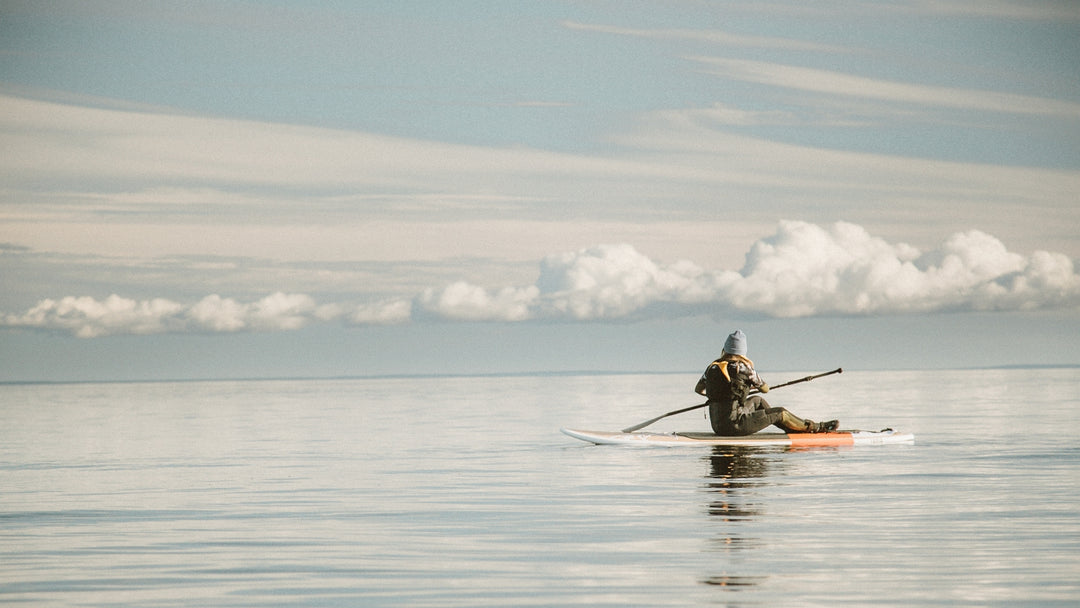 Faire du paddle board avec les baleines