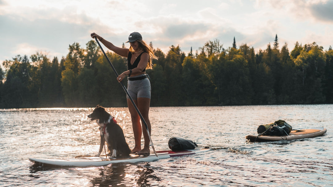 Faire du SUP avec un chien : tout ce qu'il faut savoir