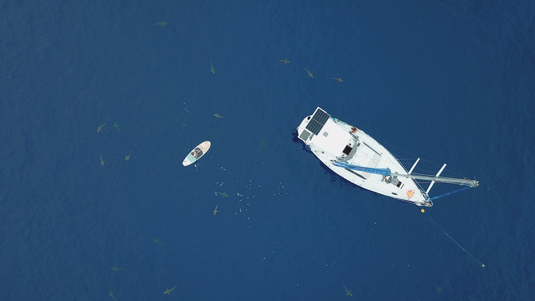 Naviguer pour échapper l'hiver : histoires de bateaux et d'aventures turquoises en SUP