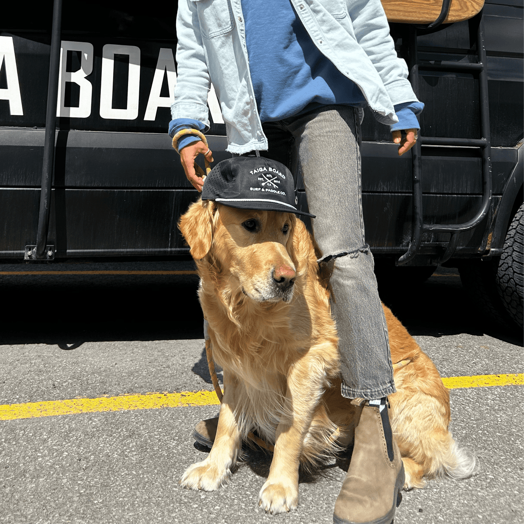 5 - PANEL MESH CAP - SURF & PADDLE - Taiga Board
