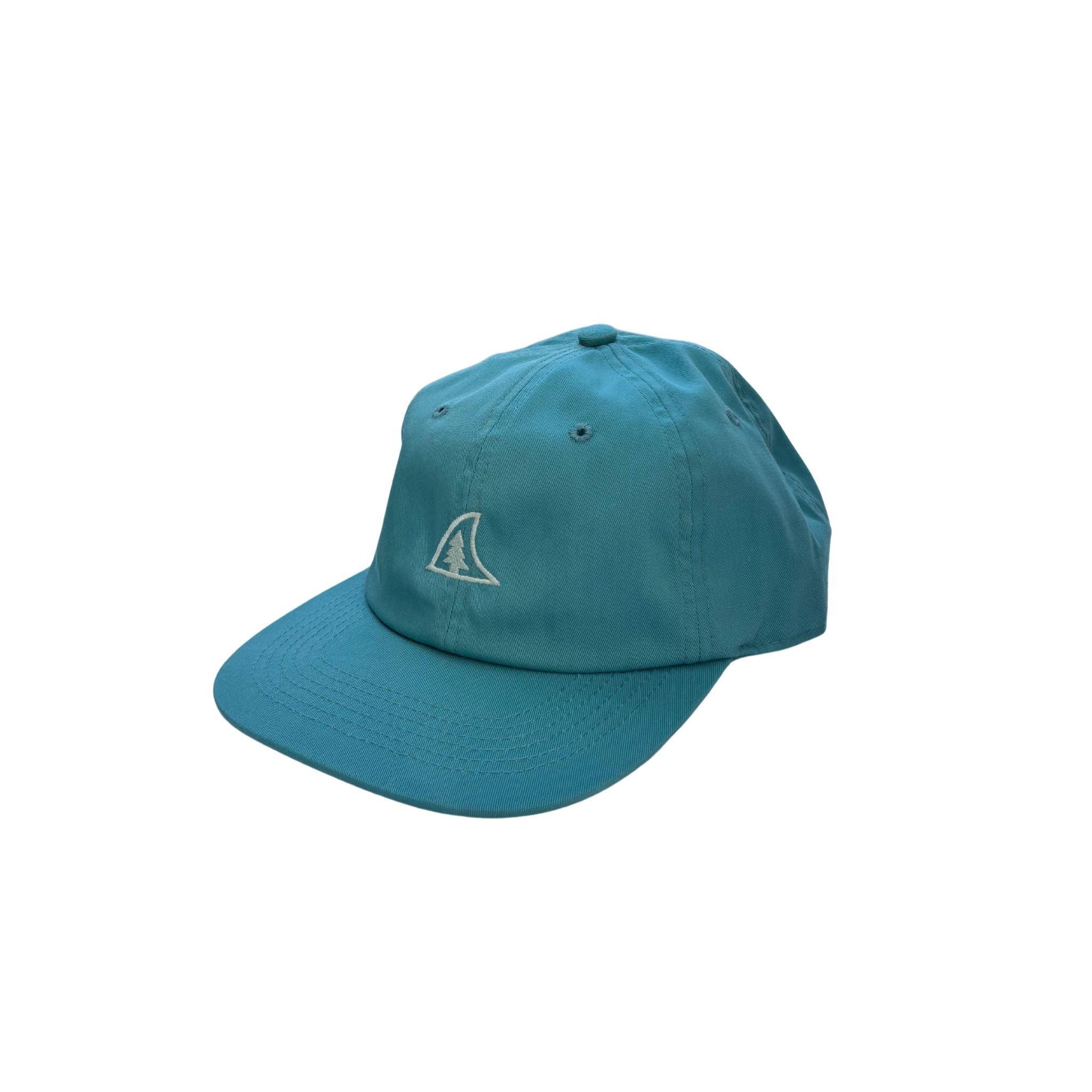 6-PANEL DAD HAT - WAVE – TAIGA BOARD