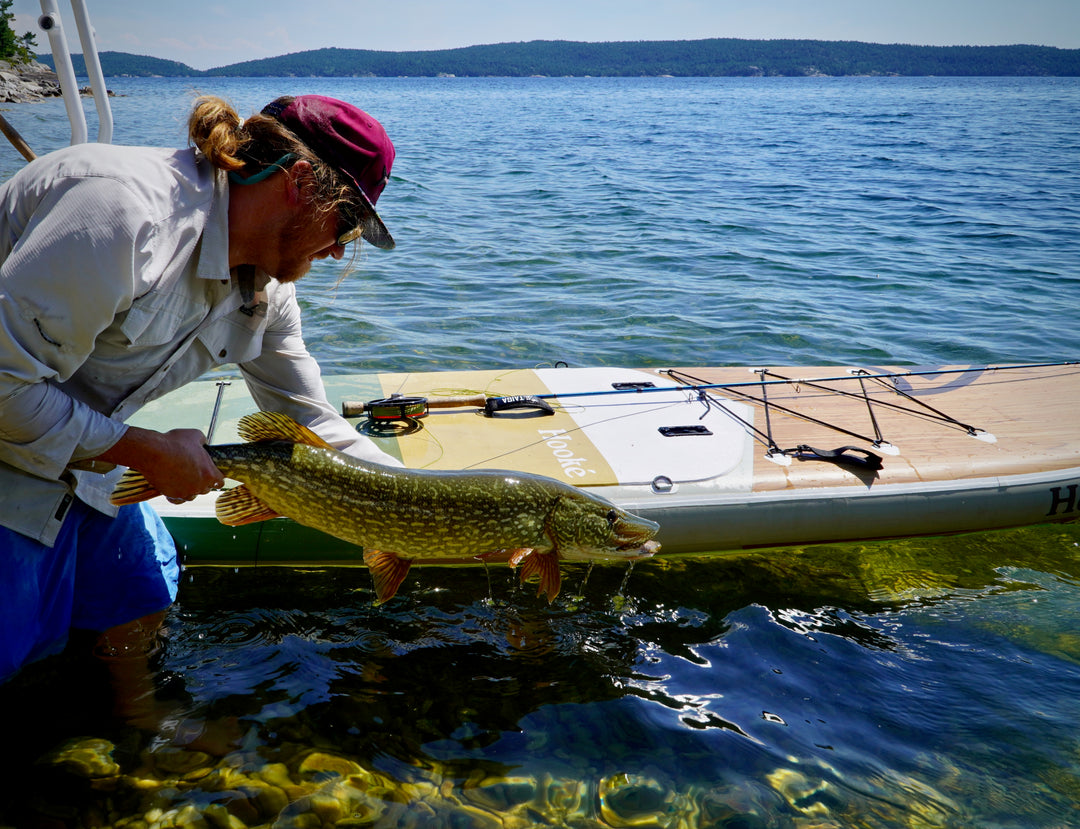 HOOKÉ AIR 11'6'' Fishing - INFLATABLE PADDLE BOARD