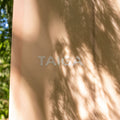 TAIGA Logo on The Longboard Surf Board in The Rosé Color