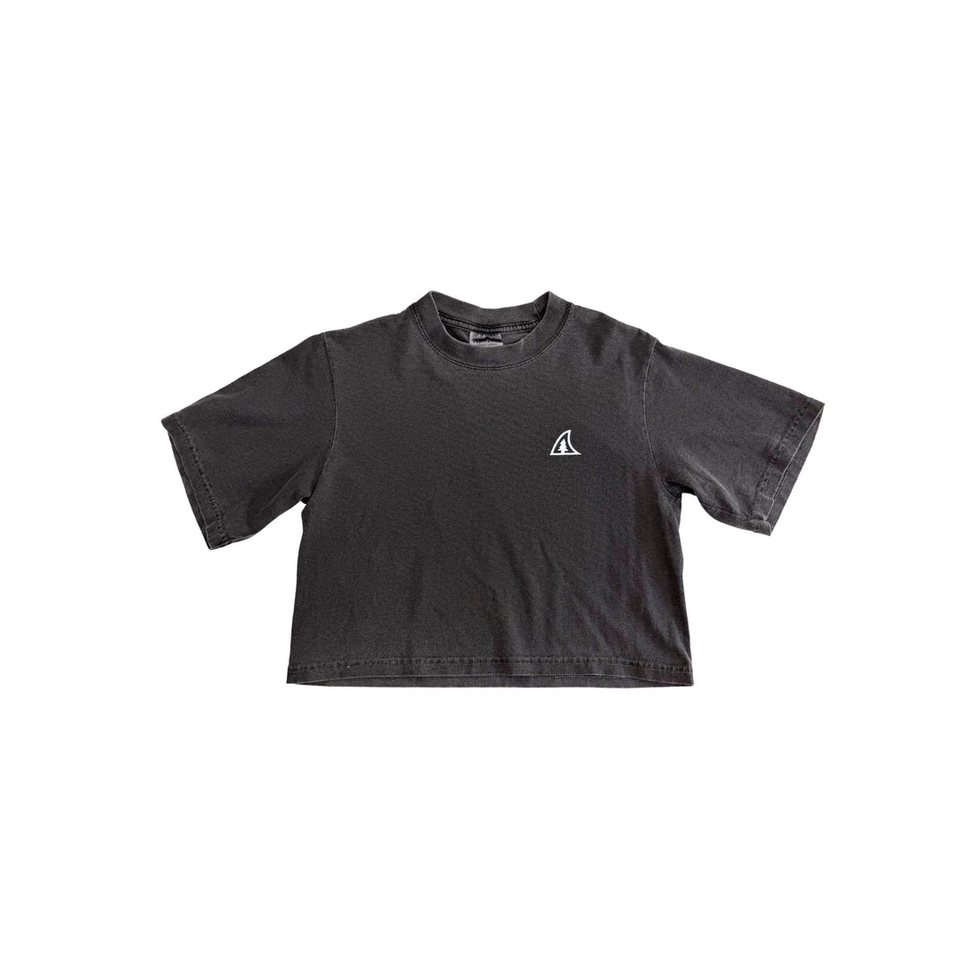 TAIGA Washed Grey Logo Crop Top