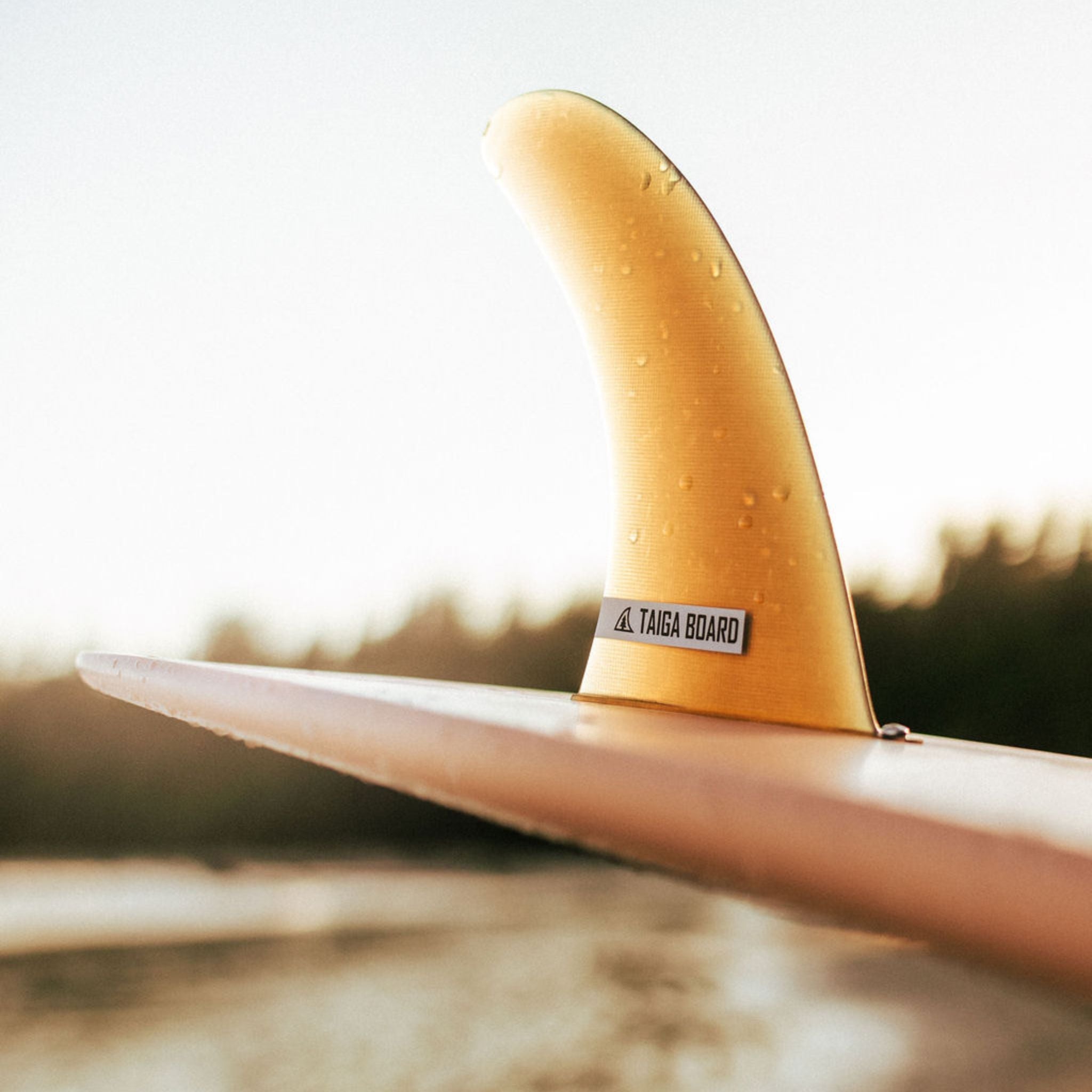 CENTER FIN - FIBERGLASS DOLPHIN SURF LS – TAIGA BOARD
