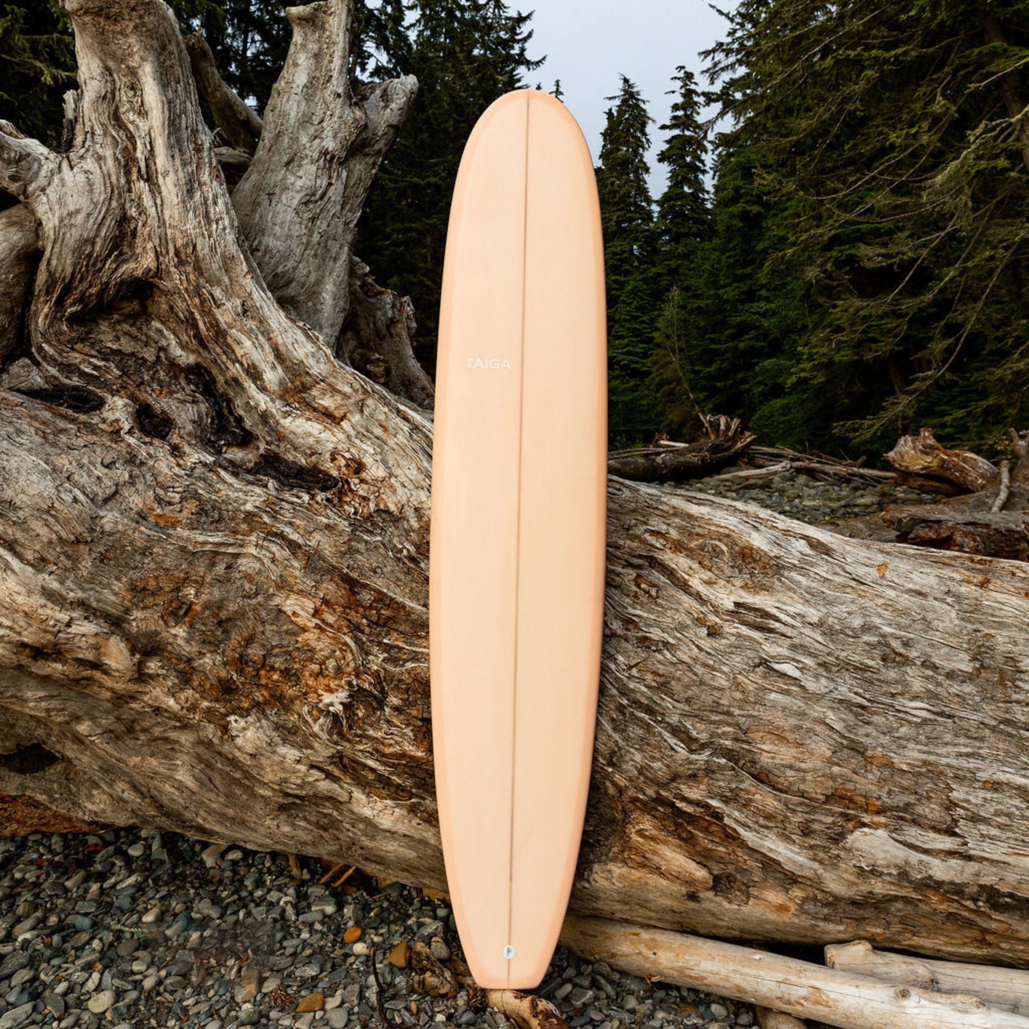 Surf - Longboard 9'2 | TAIGA BOARD – Taiga Board