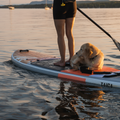 Paddler with a dog on the Hana Air 9'5 salmon