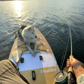 SUP fishing with dog on the Hooké x TAIGA 11'6