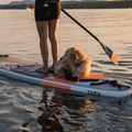 Salmon Hybrid Paddle by TAIGA with a dog on the Hana Air 9'5 SUP