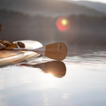 Performance Root Collection Paddle by TAIGA at sunset