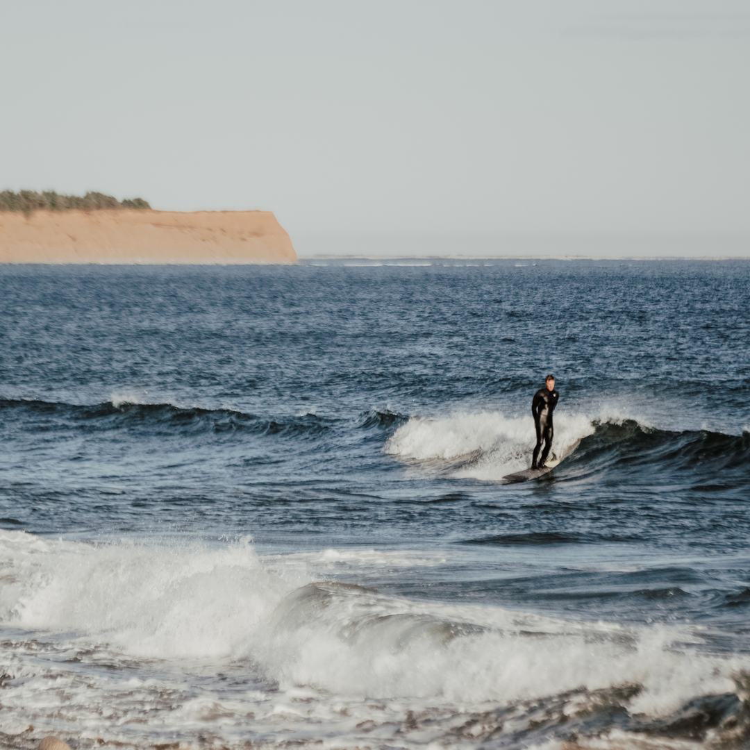 Surf - Longboard 9'0 | TAIGA BOARD – Taiga Board Surf - Longboard 9'0 | TAIGA BOARD – Taiga Board