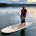 AWEN 10'0'' - HARD PADDLE BOARD (ROOT COLLECTION) - Taiga Board