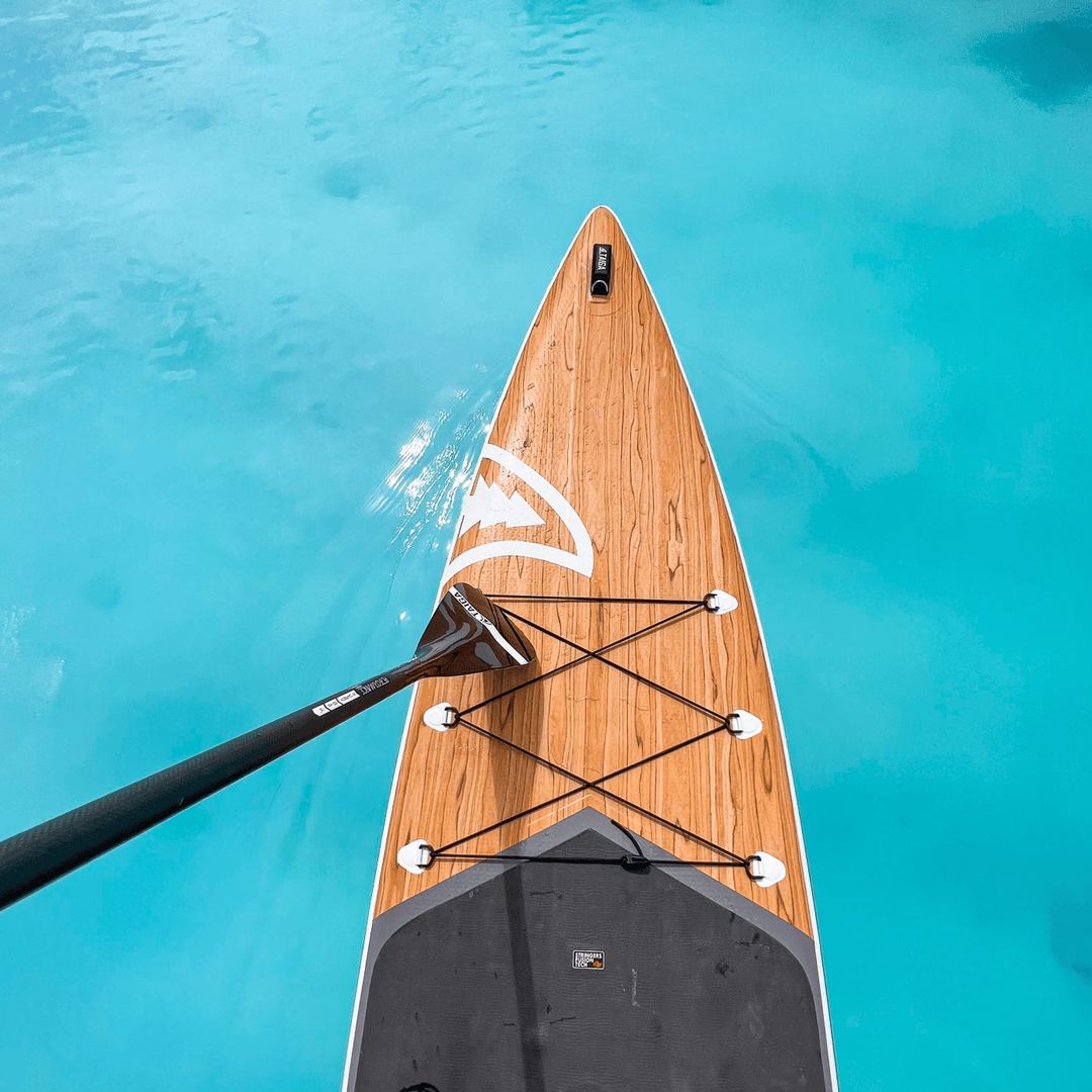 PERFORMANCE PADDLE - ALL CARBON BLACK - Adjustable 2 or 3 pieces - Taiga Board