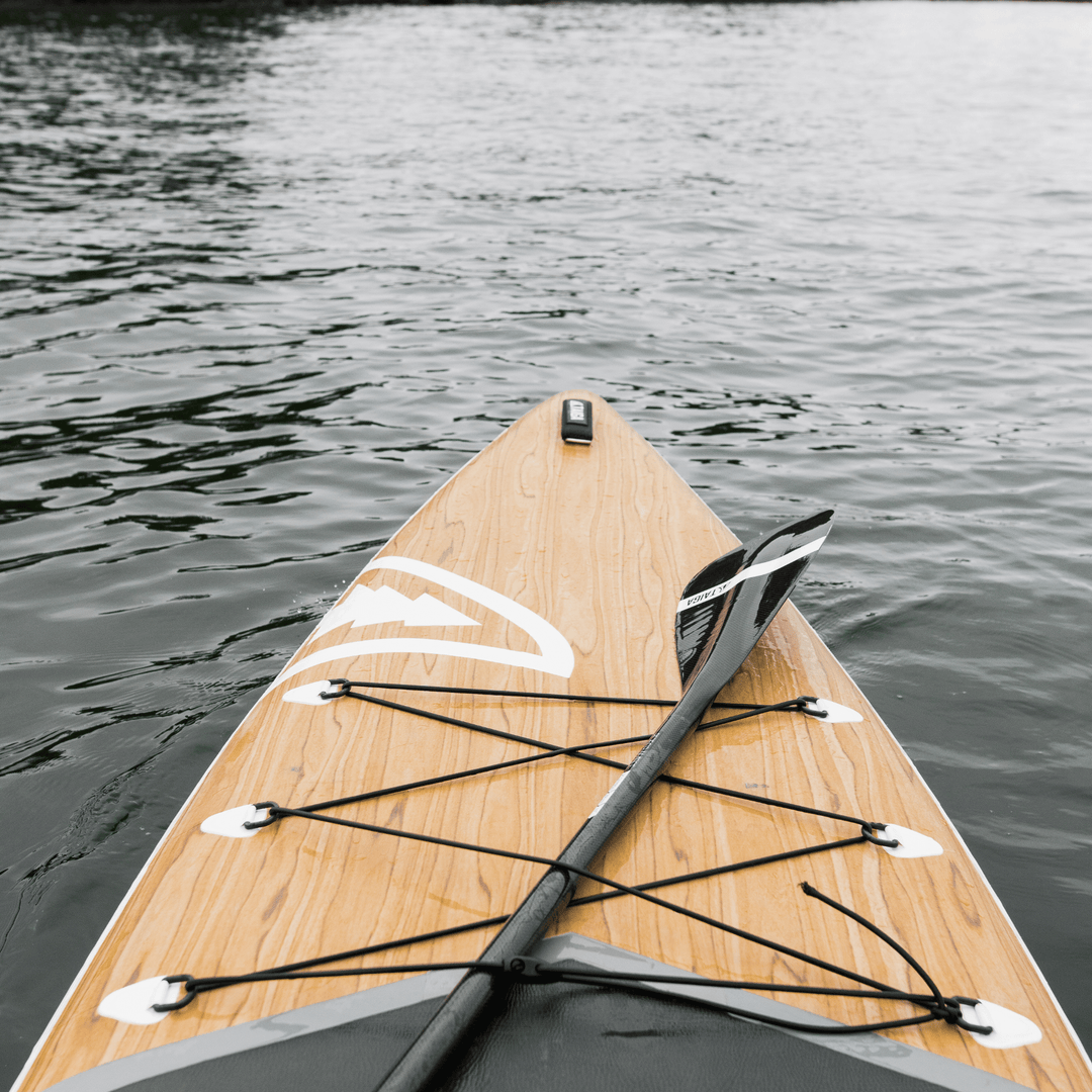 PERFORMANCE PADDLE - ALL CARBON BLACK - Adjustable 2 or 3 pieces - Taiga Board